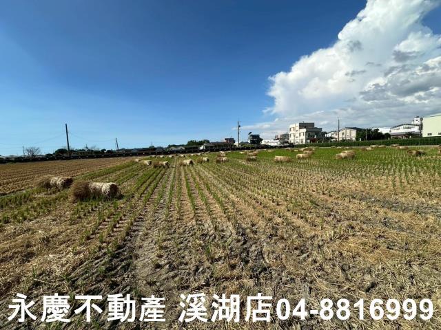 彰化田尾農地-13