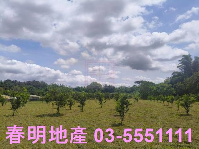 北埔農地-0