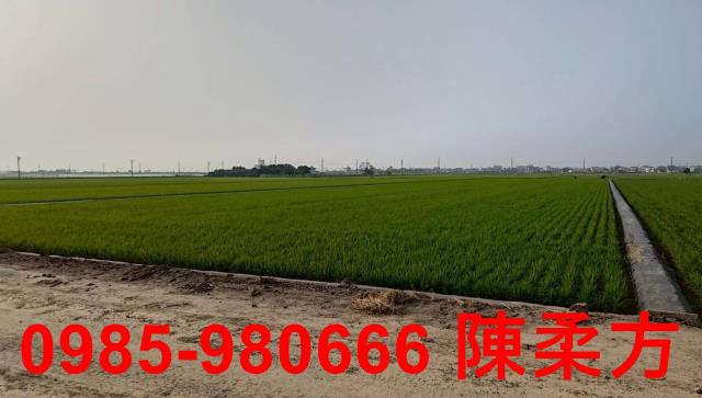 鹿草農地-15