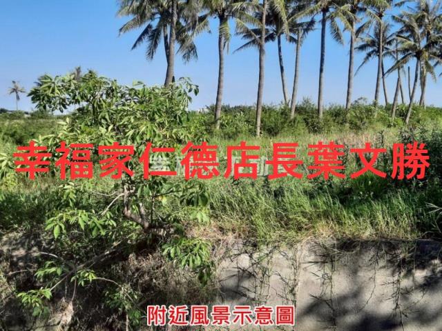 七股農地-12