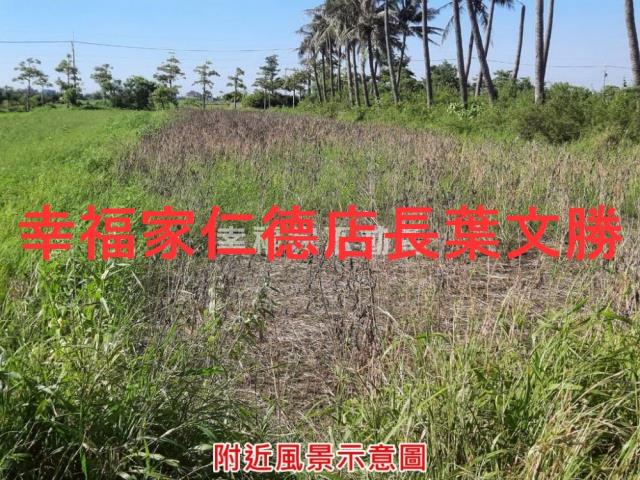 七股農地-15