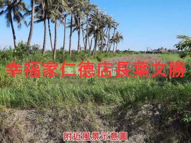 七股農地-9
