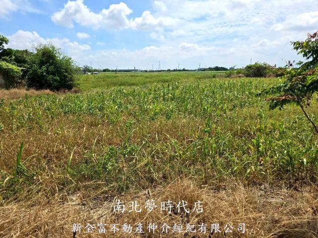 佳里農地-12