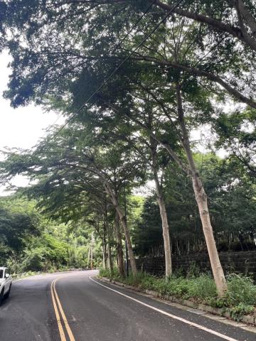台中農地_建地-4