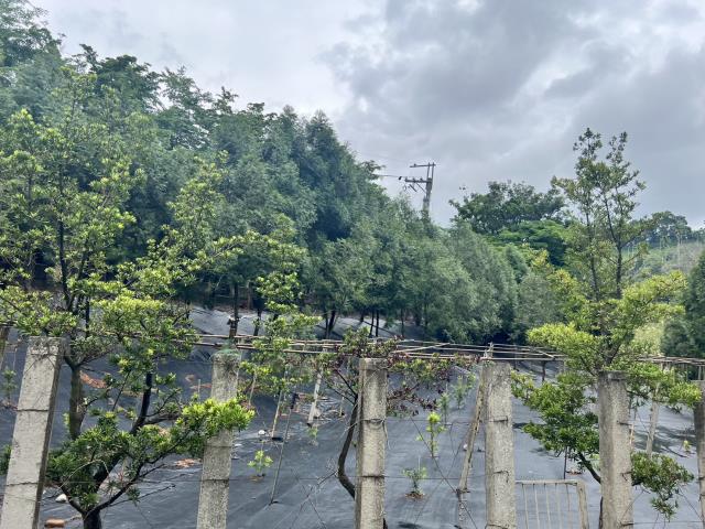 台中農地_建地-8