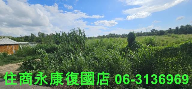 台南關廟農地-10