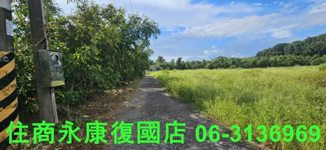 台南關廟農地-4