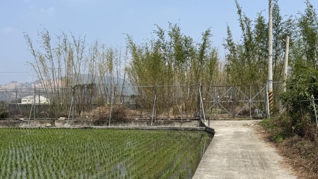 后里農地-3