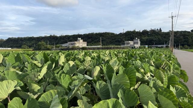 后里農地-4