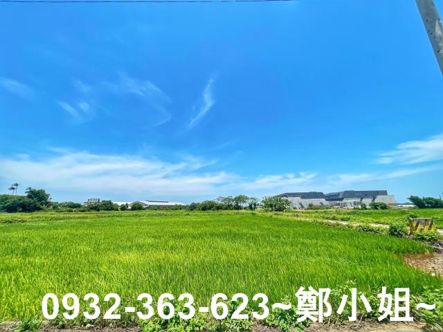 楊梅農地-4