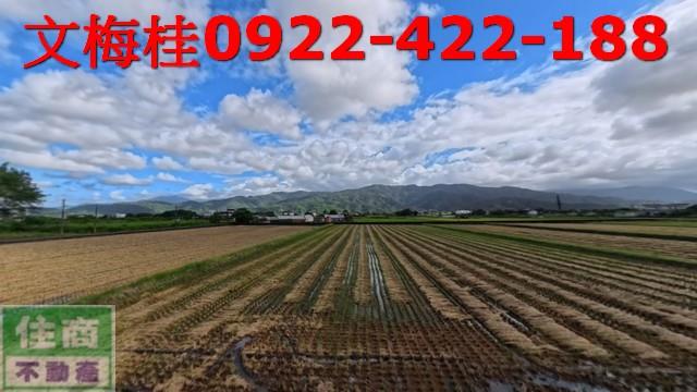 宜蘭農地-1