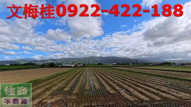 宜蘭農地-6