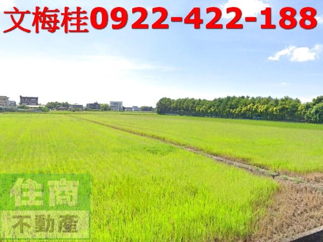宜蘭農地-1