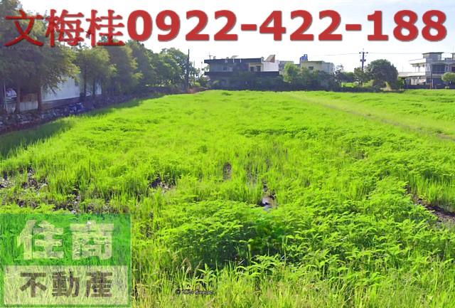 宜蘭農地-1