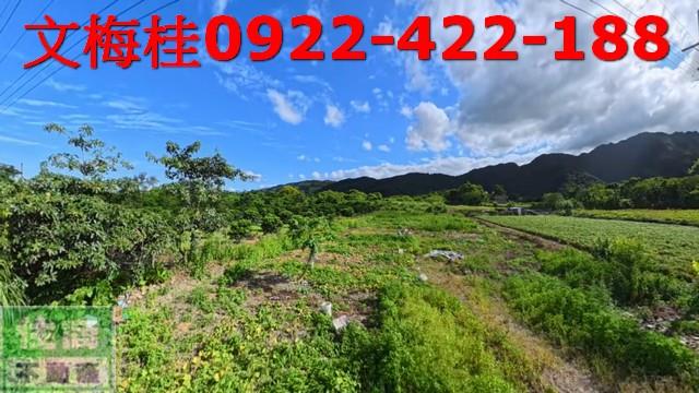 宜蘭農地宜蘭建地員山農地