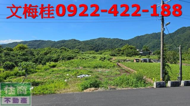 宜蘭員山農地-1