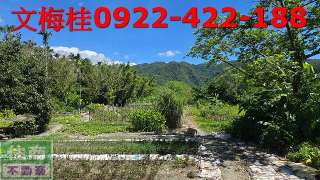 宜蘭員山農地-3