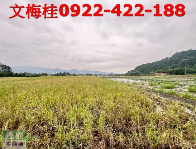 宜蘭三星農地-1