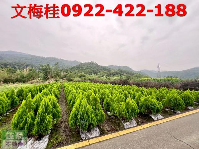 宜蘭三星農地-2