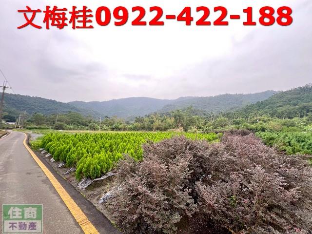 宜蘭三星農地-3