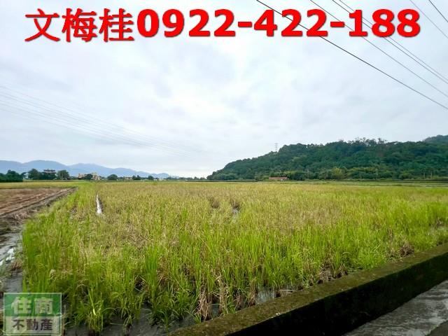 宜蘭三星農地-6