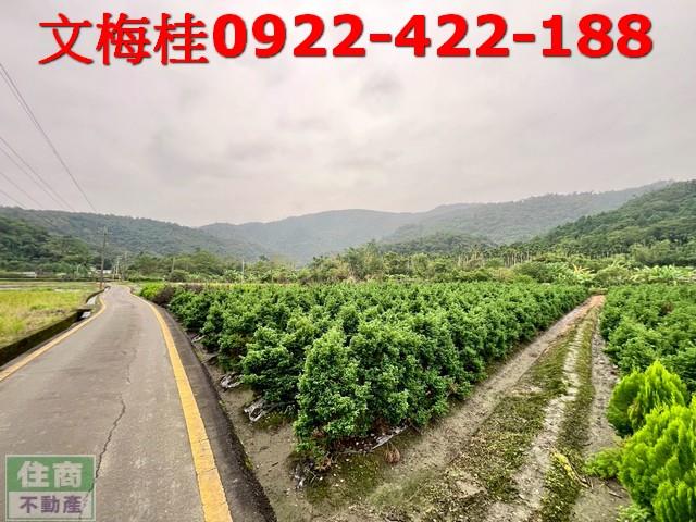 宜蘭三星農地-7