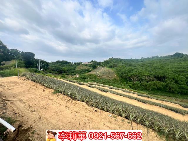 關廟農地-5