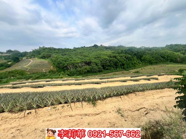 關廟農地-6