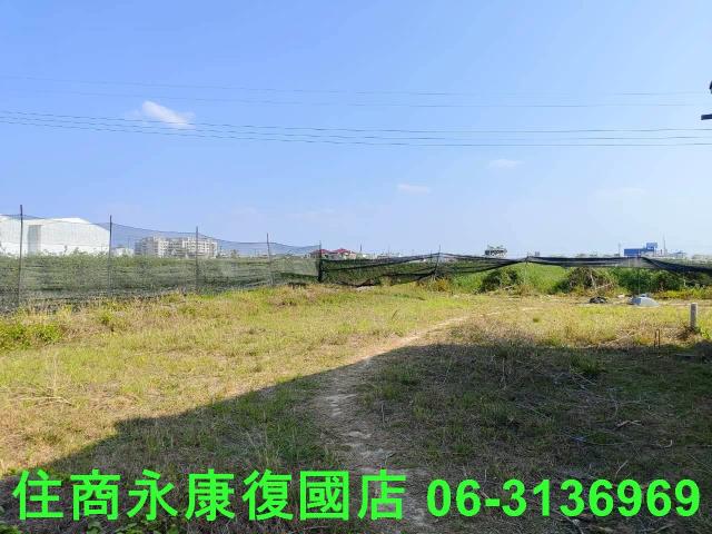新市農地-6