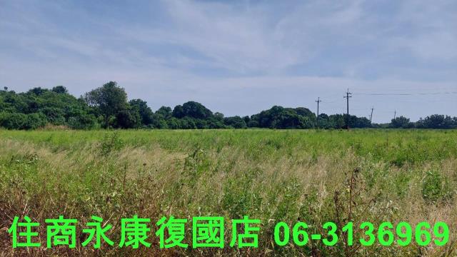 官田農地-3