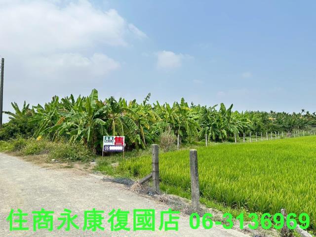 崁頂農地-10