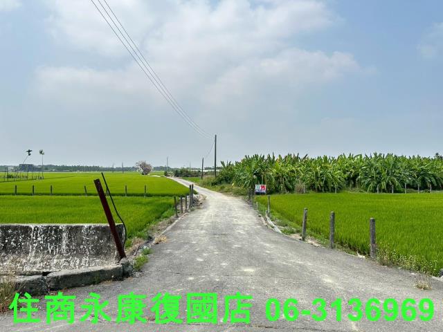 崁頂農地-12