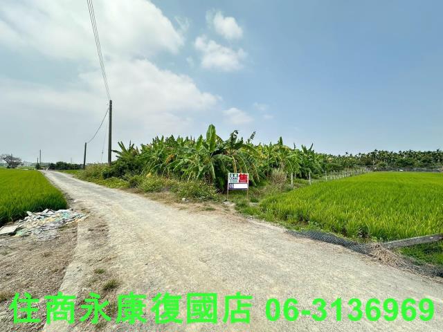 崁頂農地-1