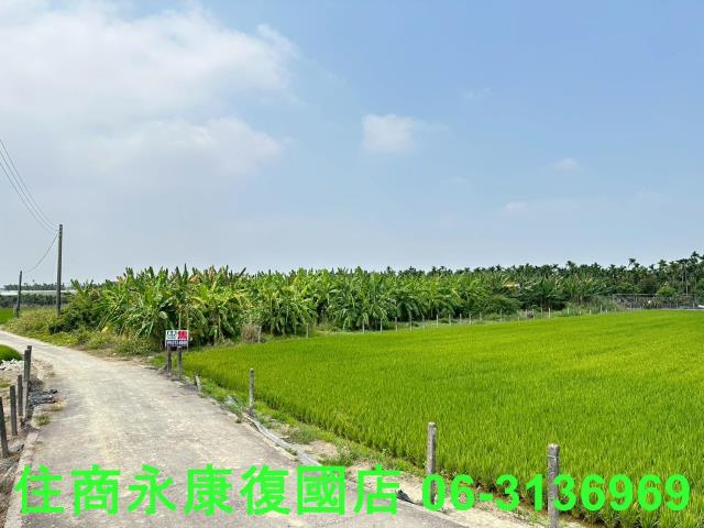 崁頂農地-6