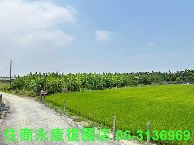崁頂農地-7