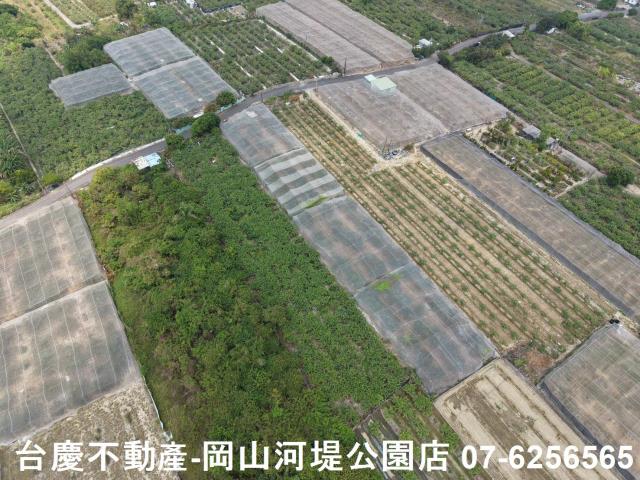 燕巢農地-5
