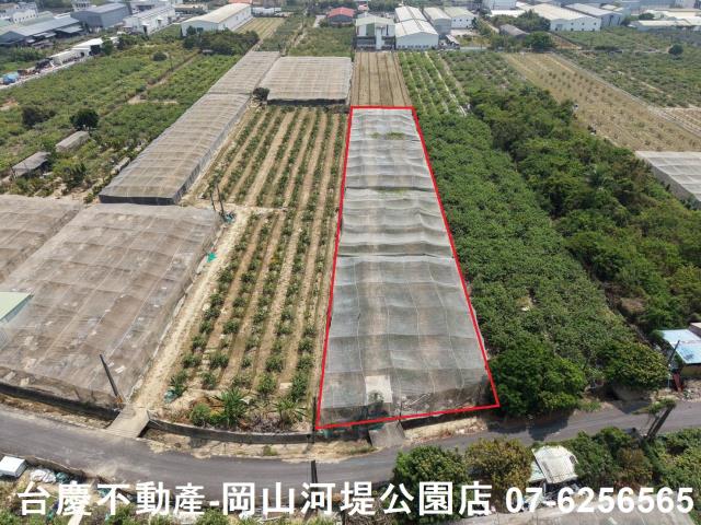燕巢農地-1