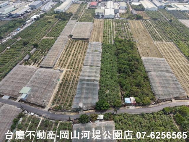 燕巢農地-13