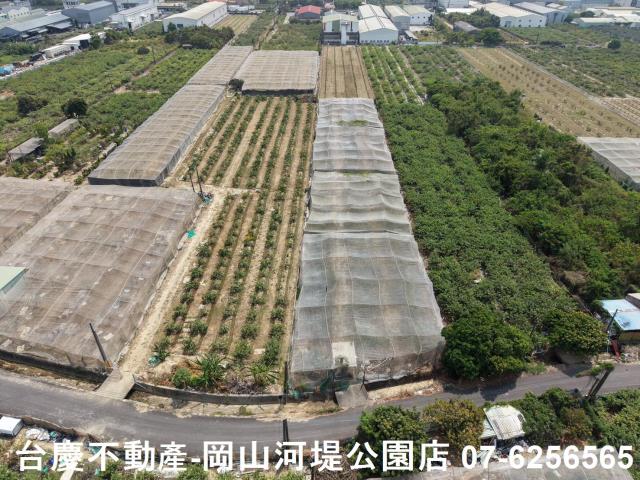 燕巢農地-11