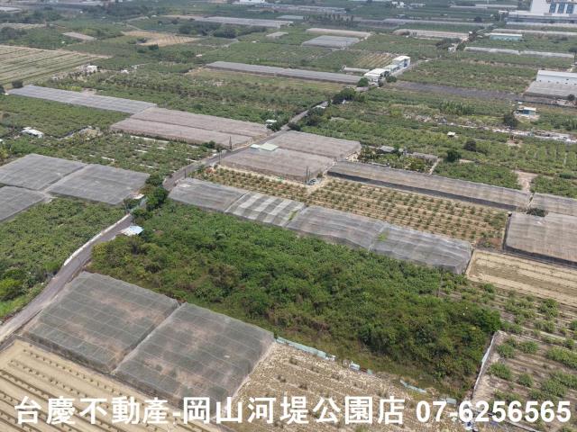 燕巢農地-10