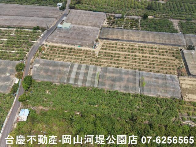 燕巢農地-9