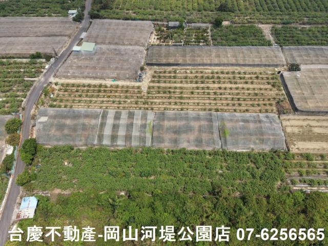 燕巢農地-8