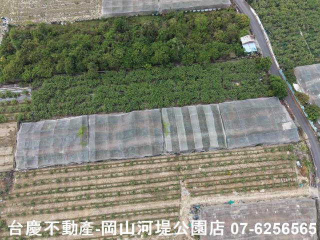燕巢農地-3