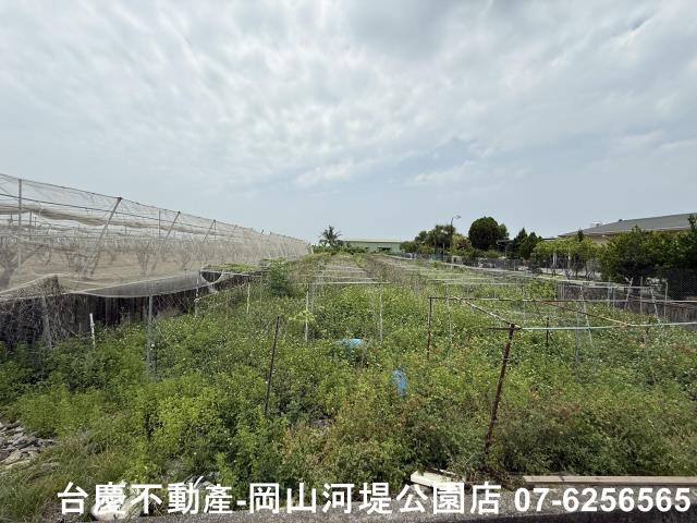 高雄農地-9