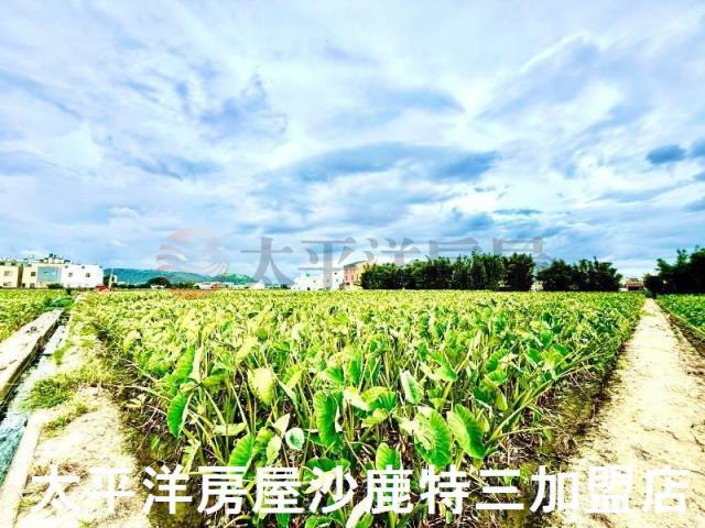 台中大甲農地-3