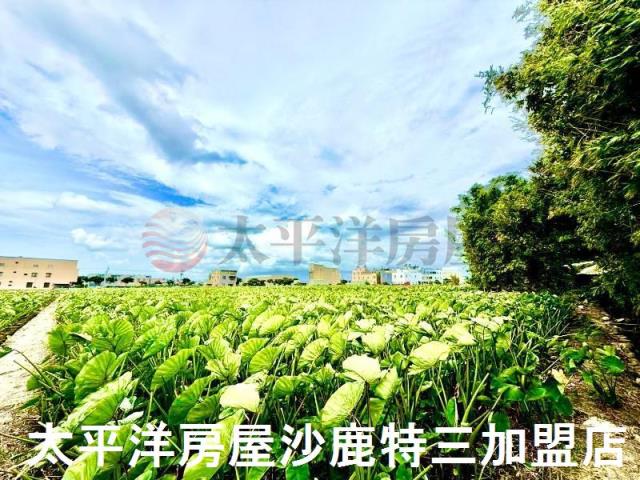台中大甲農地-4