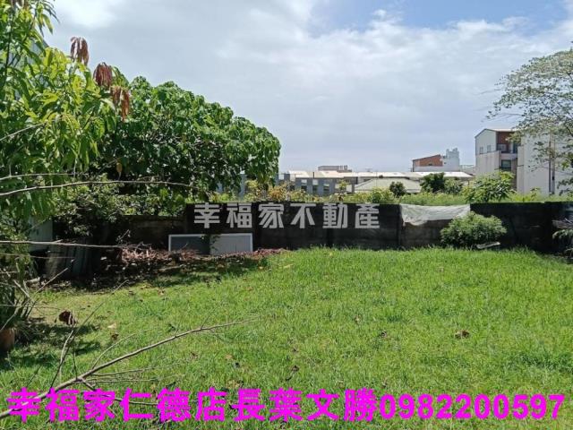 台南仁德農地-11