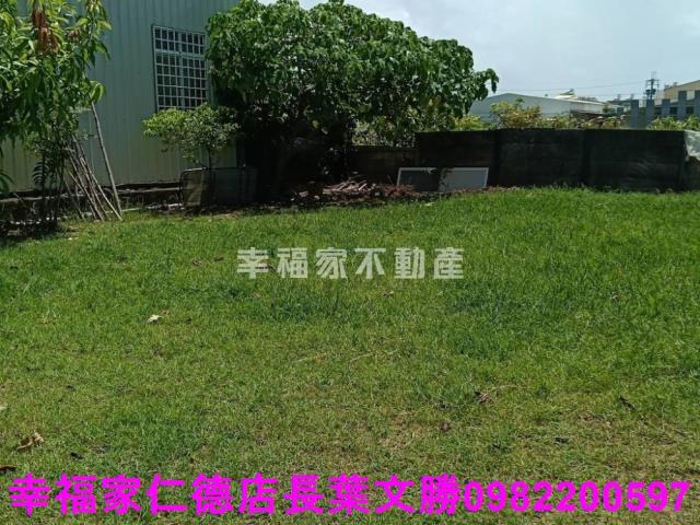 台南仁德農地-26