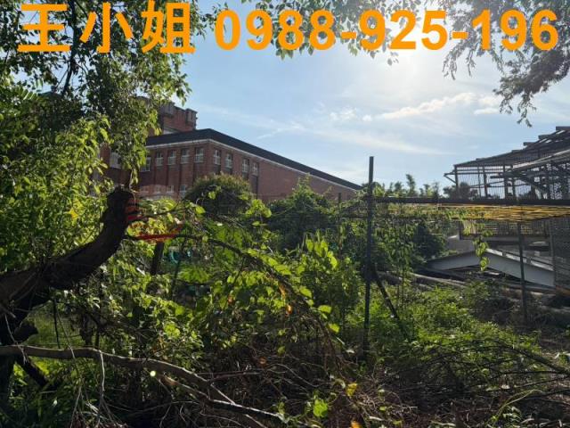 桃園八德農地-2