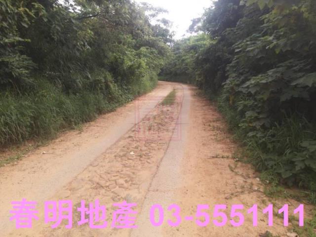 新豐農地-10